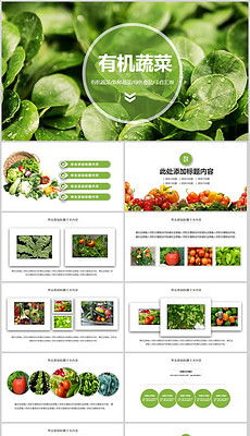 有机蔬菜种植图片素材 有机蔬菜种植图片素材下载 有机蔬菜种植背景素材 有机蔬菜种植模板下载 