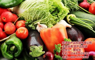 蔬菜配送 宏鸿农产品集团 蔬菜配送公司